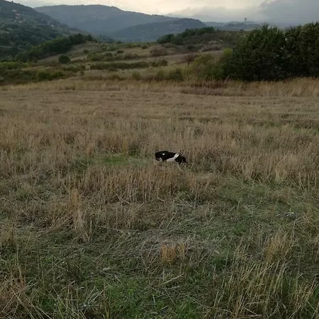 Agritur *